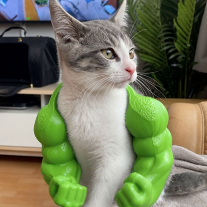 PurPaw Kedi Kas Kolu