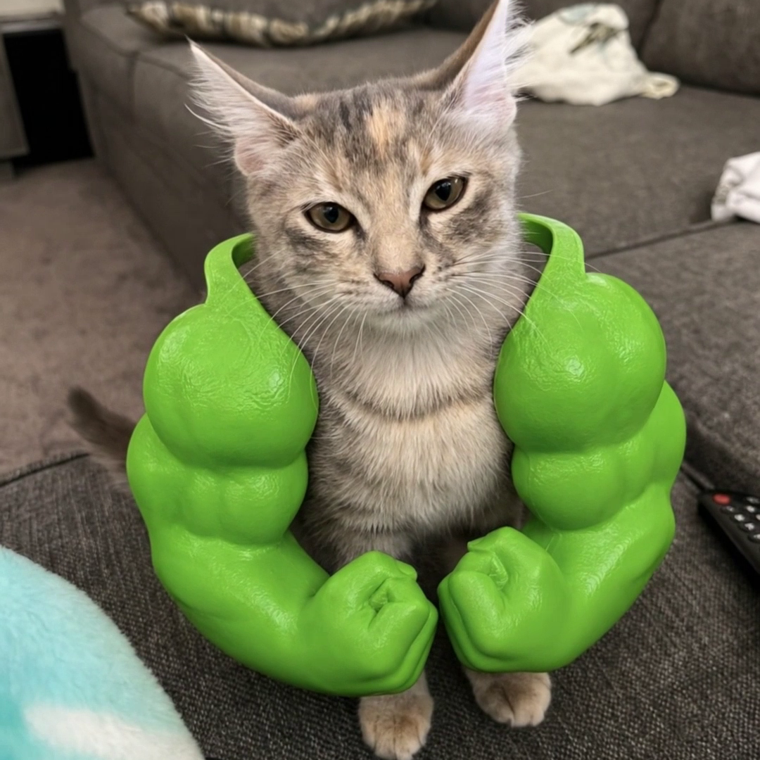 PurPaw Kedi Kas Kolu