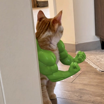 PurPaw Kedi Kas Kolu